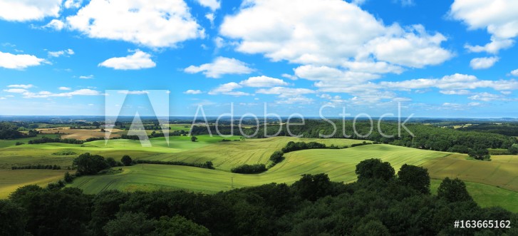 Picture of Landschaft mit Hgeln und Getreidefeldern Panorama